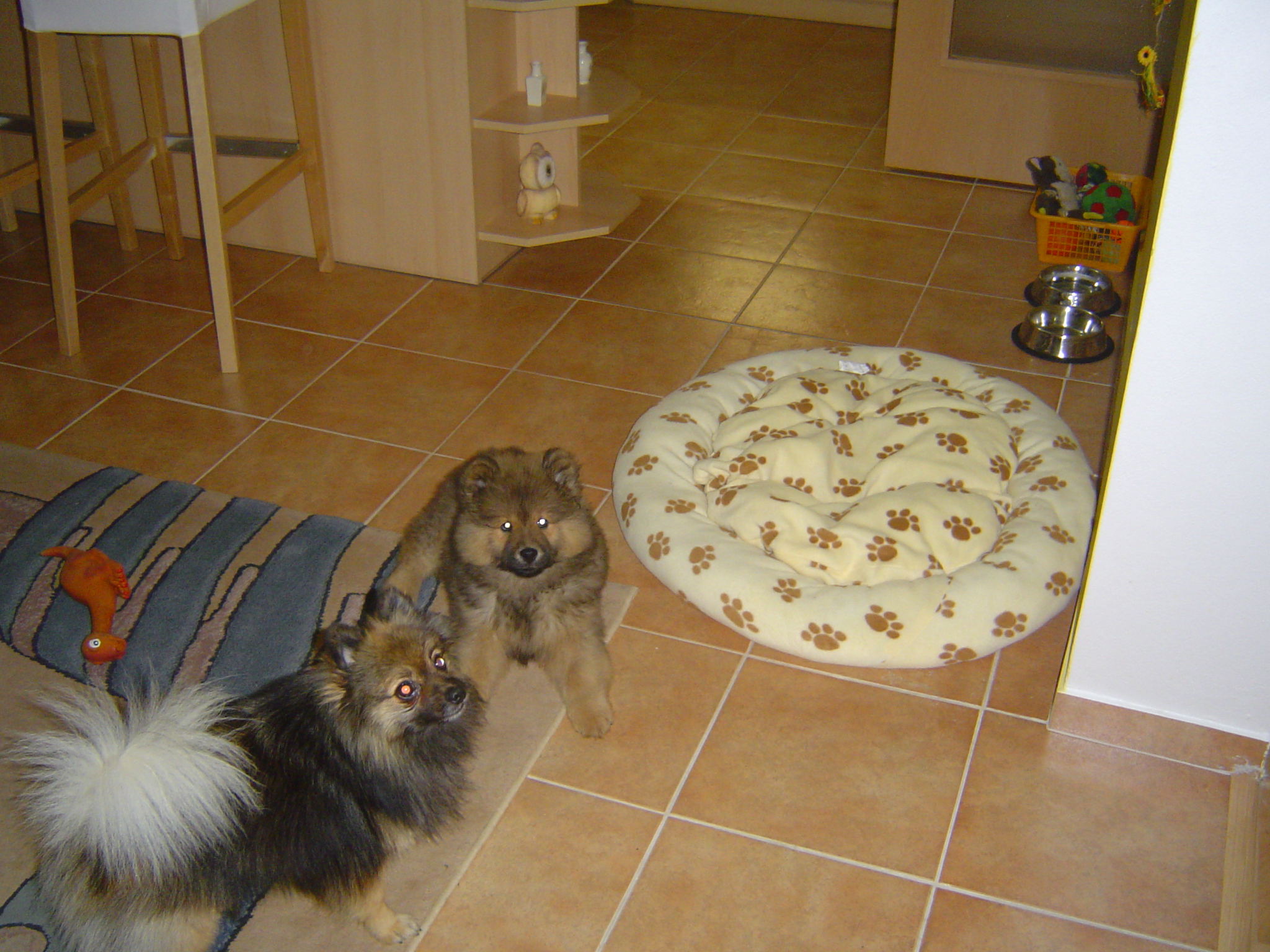 DSC00308.JPG