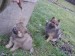 DSC00300.JPG