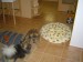 DSC00308.JPG